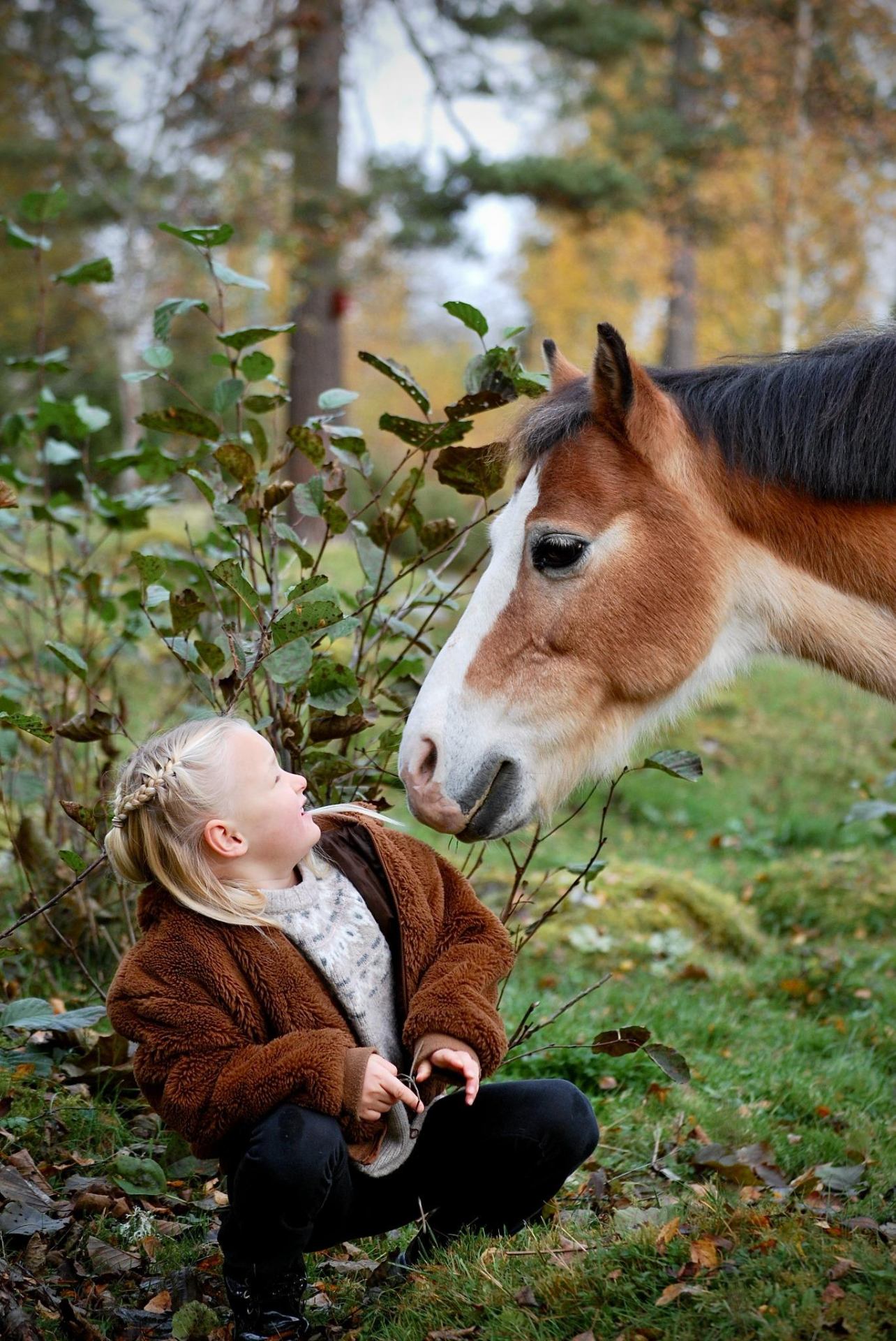 Barn och häst